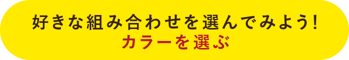 好きな組み合わせを選んでみよう